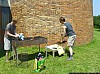 100_0903.JPG