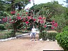 J01_100_3615_Teriya_Bugu.jpg