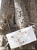 J01_100_3616_Teriya_Bugu.jpg