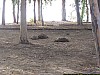 J01_100_3627_Teriya_Bugu.jpg