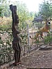 J01_100_3631_Teriya_Bugu.jpg