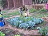 J01_100_3643_Teriya_Bugu.jpg