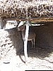 J02_100_3701_San_vers_Djenne.jpg