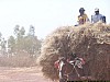 J02_100_3712_San_vers_Djenne.jpg