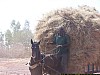 J02_100_3713_San_vers_Djenne.jpg