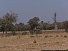 J02_100_3717_San_vers_Djenne.jpg
