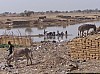 J03_100_3789_Djenne.jpg