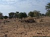 J04_100_3909_Niongono.jpg