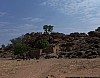 J04_100_3912_Niongono.jpg