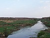 J06_100_4014_Sangha_vers_Mopti.jpg