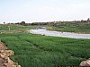J06_100_4019_Sangha_vers_Mopti.jpg