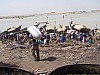 J06_100_4056_Mopti.jpg