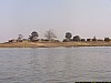 J06_100_4087_Mopti.jpg