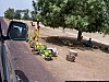 J07_100_4137_Mopti_vers_Segou.jpg