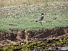 J07_100_4158_Segou.jpg