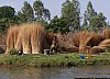 J07_100_4195_Segou.jpg