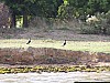 J07_100_4200_Segou.jpg