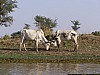 J07_100_4201_Segou.jpg