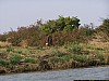 J07_100_4202_Segou.jpg