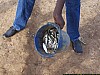 J08_100_4260_Segou_Ancien.jpg