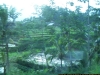100_4580.JPG