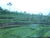 100_4581.JPG