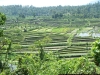 100_4677.JPG