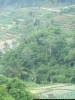 100_4794.JPG