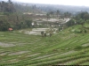 100_4803.JPG