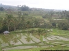 100_4805.JPG