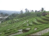 100_4806.JPG
