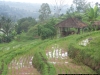 100_4807.JPG