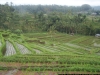 100_4810.JPG