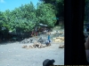 100_4646.JPG