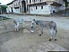 J_01_100_1261_MANDAWA.jpg