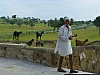 J_02_100_1282_MANDAWA_BIKANER.jpg