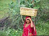 J_02_100_1300_MANDAWA_BIKANER.jpg