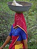 J_02_100_1305_MANDAWA_BIKANER.jpg