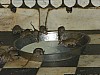 J_02_100_1438_MANDAWA_BIKANER.jpg