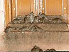 J_02_100_1447_MANDAWA_BIKANER.jpg