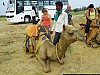 J_03_100_1543_BIKANER_JAISALMER.jpg