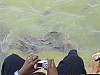 J_04_100_1647_JAISALMER.jpg