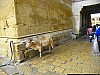 J_04_100_1732_JAISALMER.jpg
