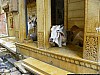 J_04_100_1741_JAISALMER.jpg