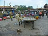 J_05_100_2077_JAISALMER_JODHPUR.jpg