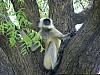 J_06_100_2148_JODHPUR_RANAKPUR_KUMBALGARH.jpg