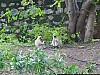 J_06_100_2247_JODHPUR_RANAKPUR_KUMBALGARH.jpg