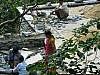 J_06_100_2268_JODHPUR_RANAKPUR_KUMBALGARH.jpg