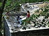 J_06_100_2269_JODHPUR_RANAKPUR_KUMBALGARH.jpg