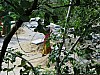 J_06_100_2270_JODHPUR_RANAKPUR_KUMBALGARH.jpg